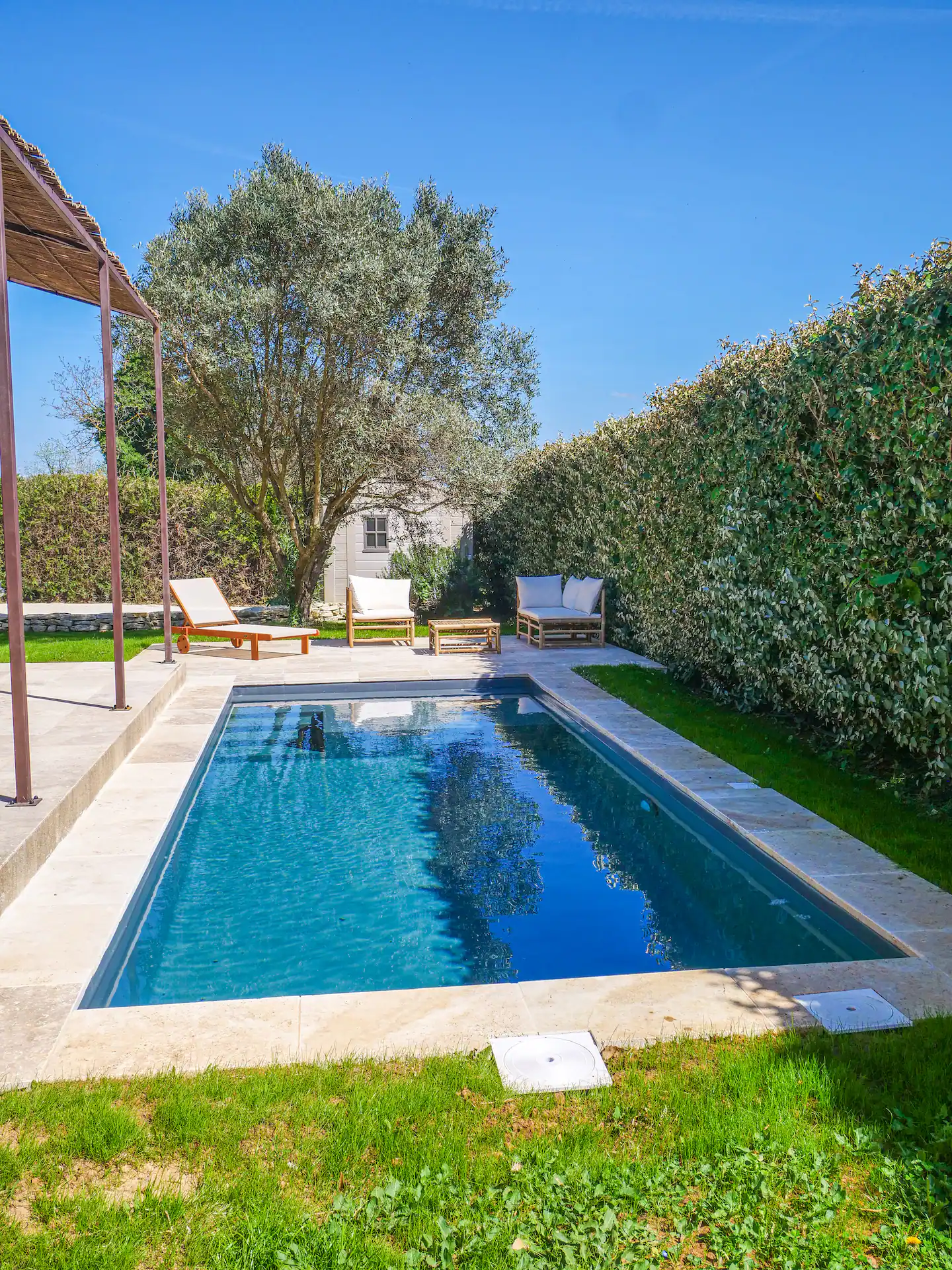 Piscine bordée de pelouse sous un olivier, format haut