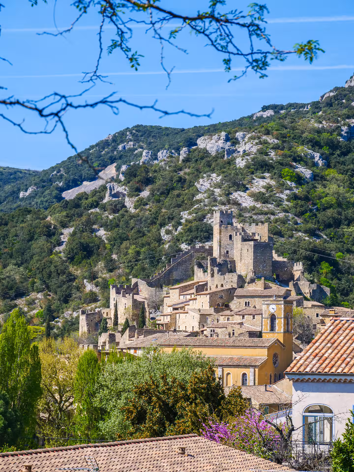 Le village perché de Saint-Montan et son château, vus depuis la maison